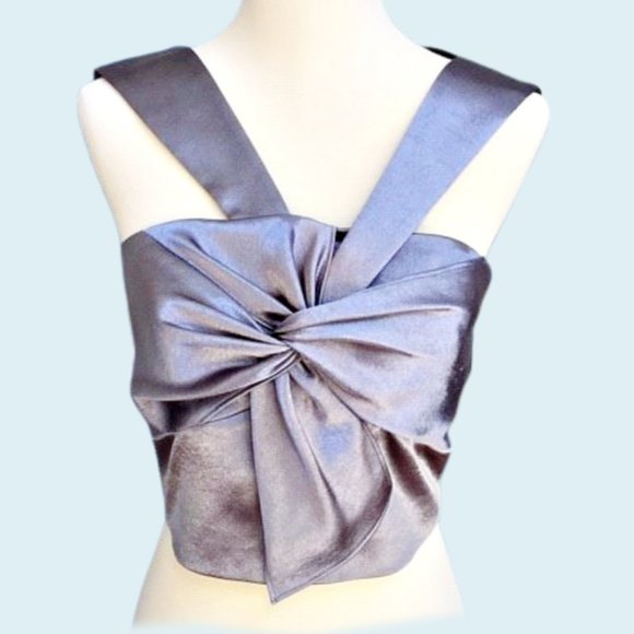 Ramy Brook Tops - Ramy Brook Silver Satin Crop with Bow Front 6/8